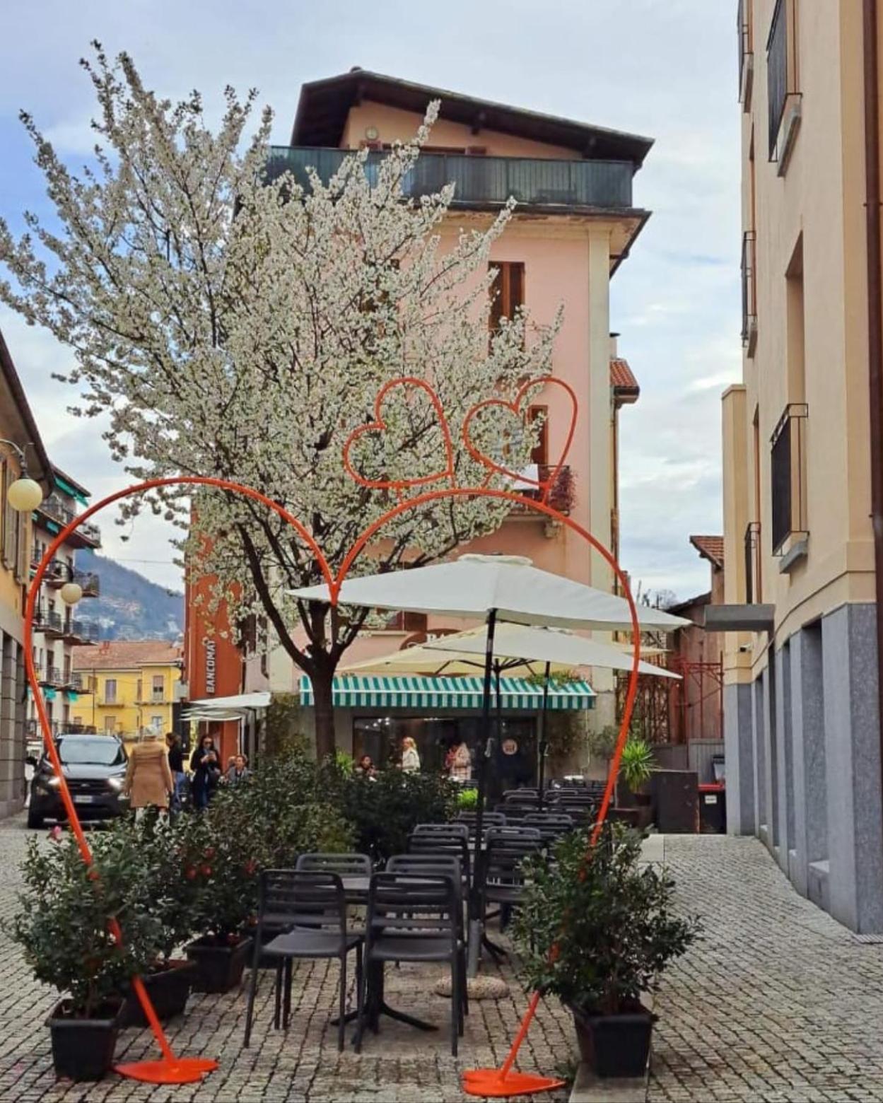 Ferienwohnung La Terrazza Verbania Exterior foto